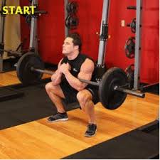 zerker squat
